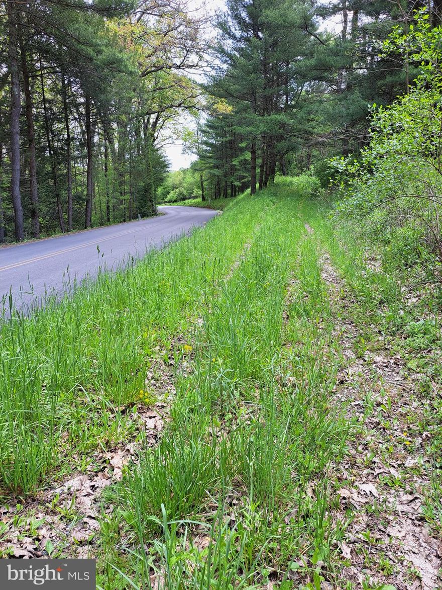 Lake Residential Property...  mostly wooded 3.67 Acres to create your own kind of happiness.   Minutes to Deep Creek Lake activities such as:  Dining, Shopping, and Outdoor Activities.
Call today !