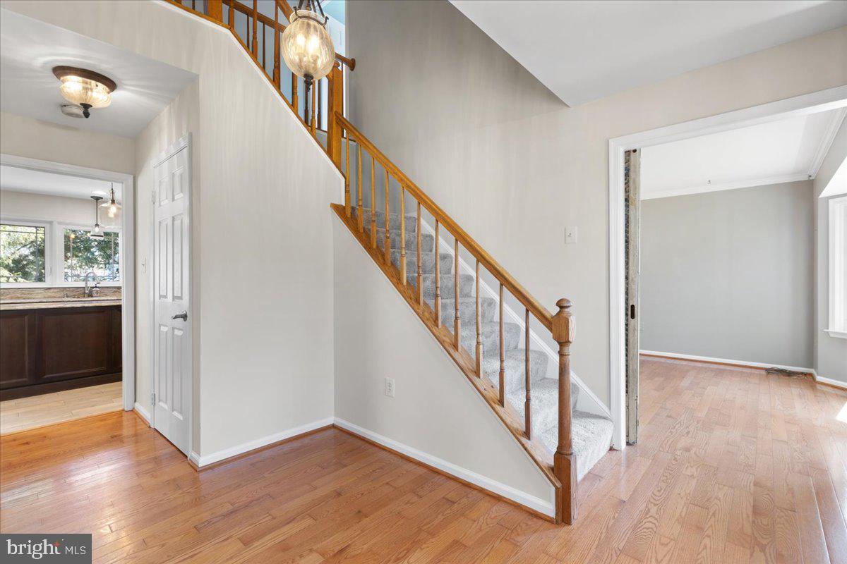 HASTINGS HUNT - Residential