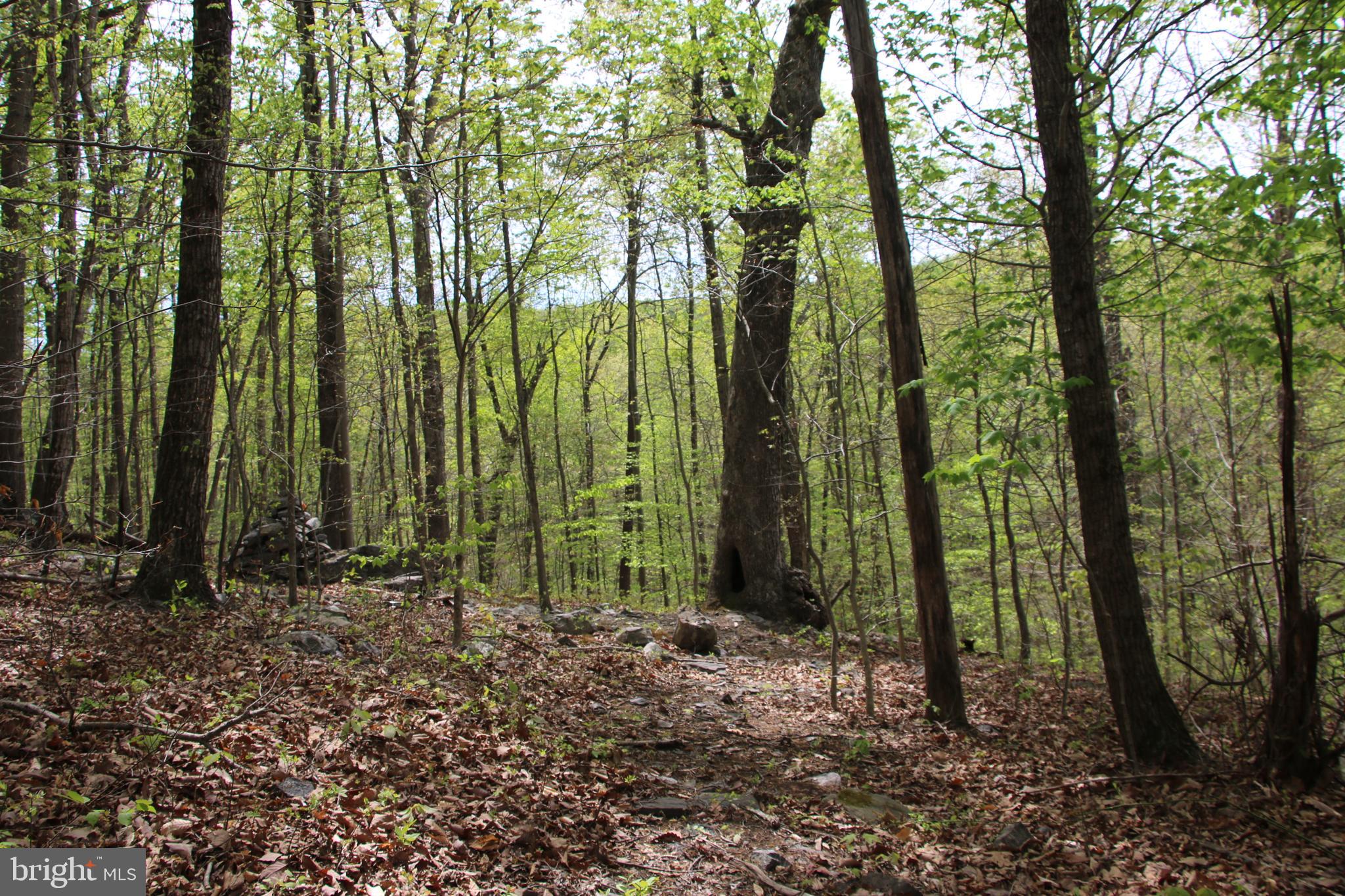 SHENANDOAH FARMS - Land