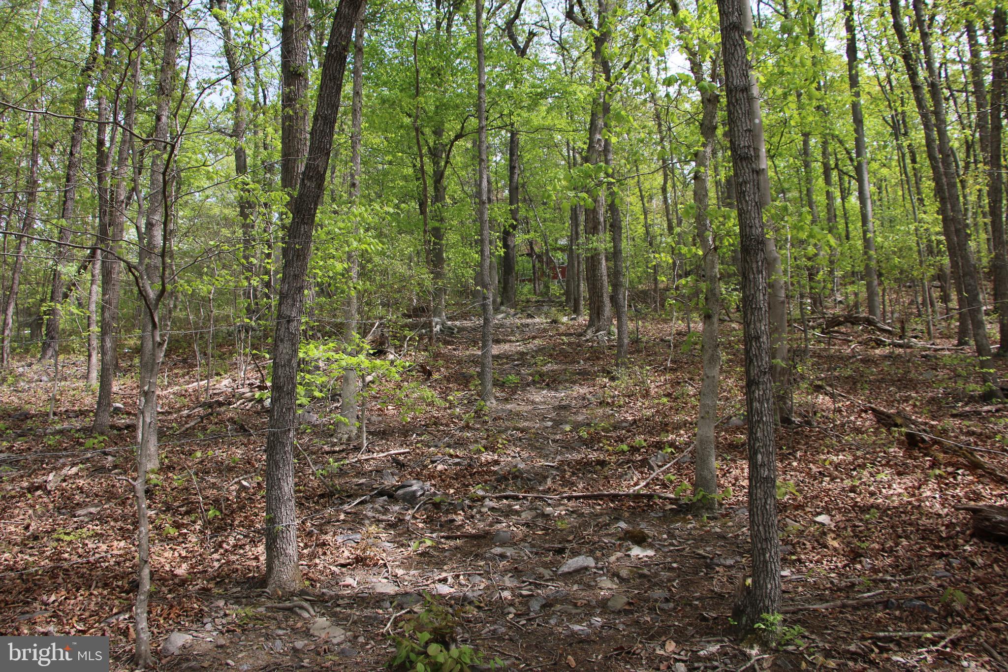 SHENANDOAH FARMS - Land