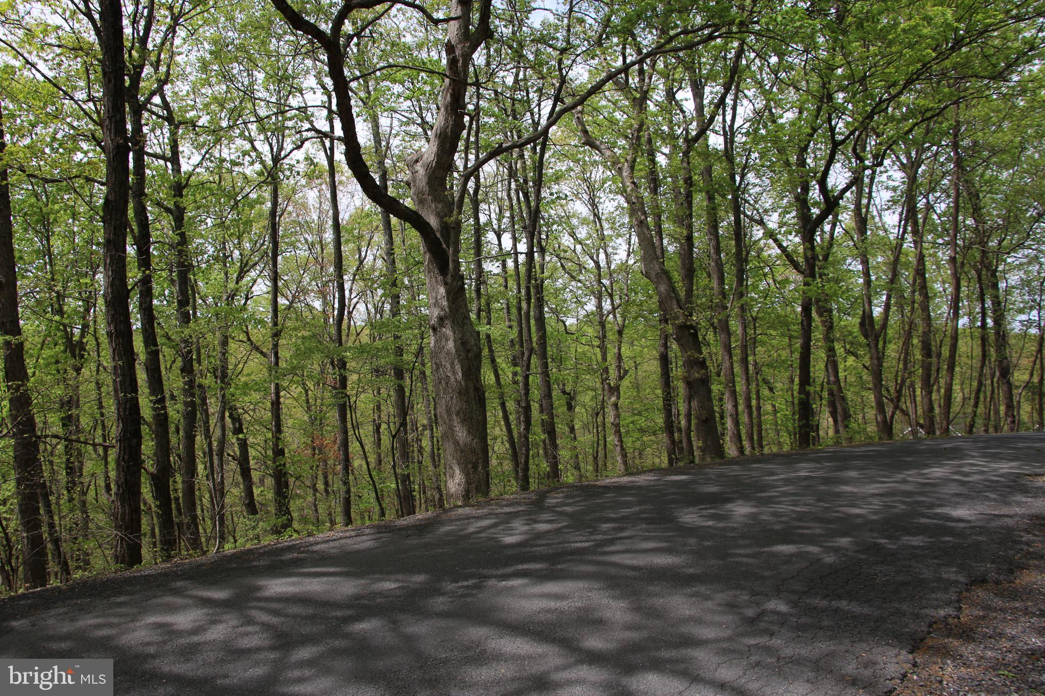 DRUMMER HILL ROAD