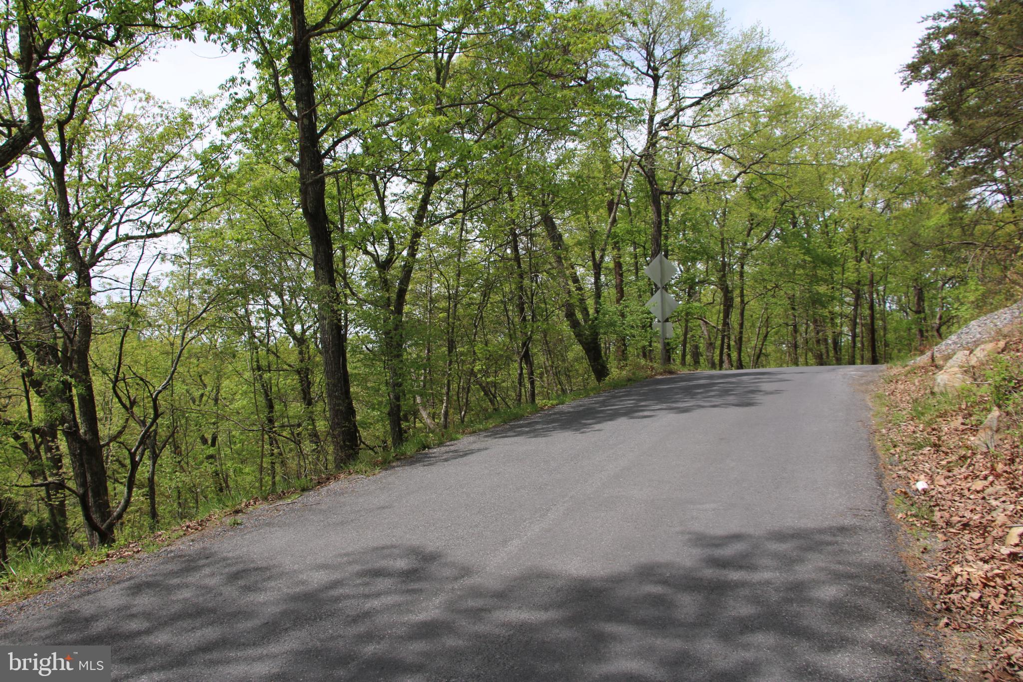 SHENANDOAH FARMS - Land