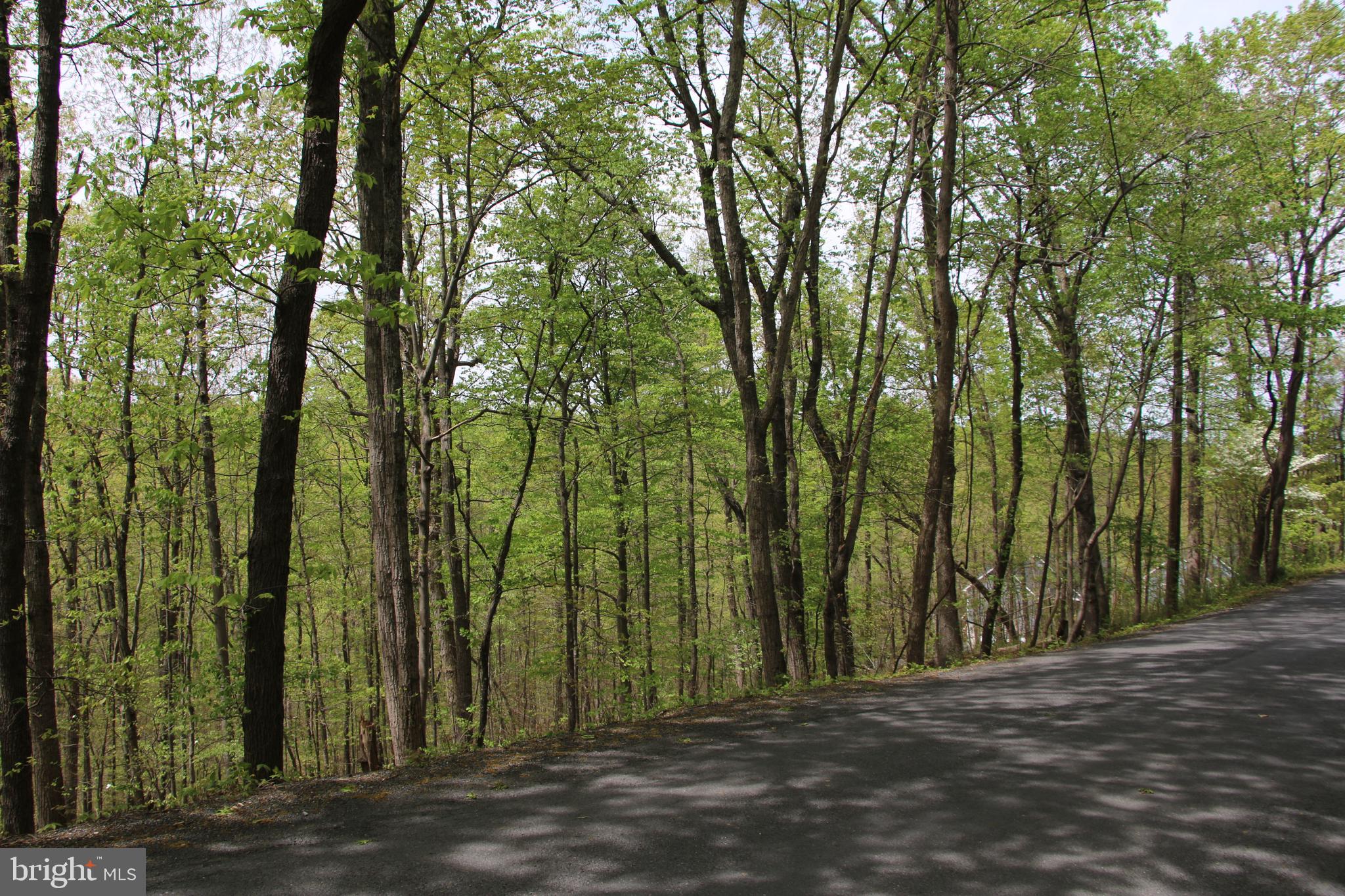 DRUMMER HILL ROAD