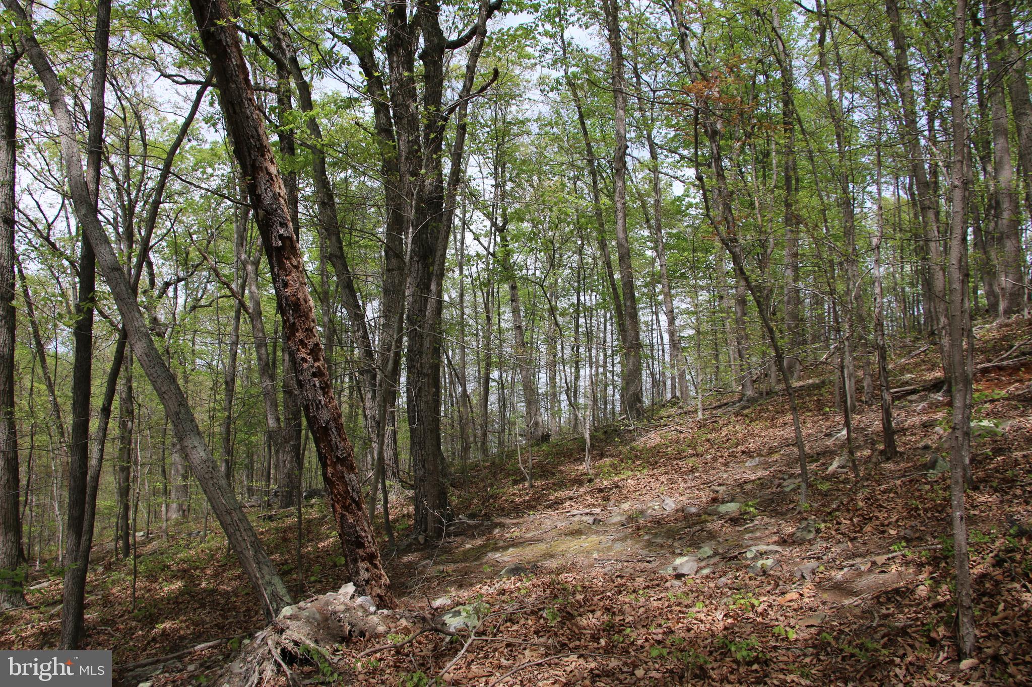 SHENANDOAH FARMS - Land