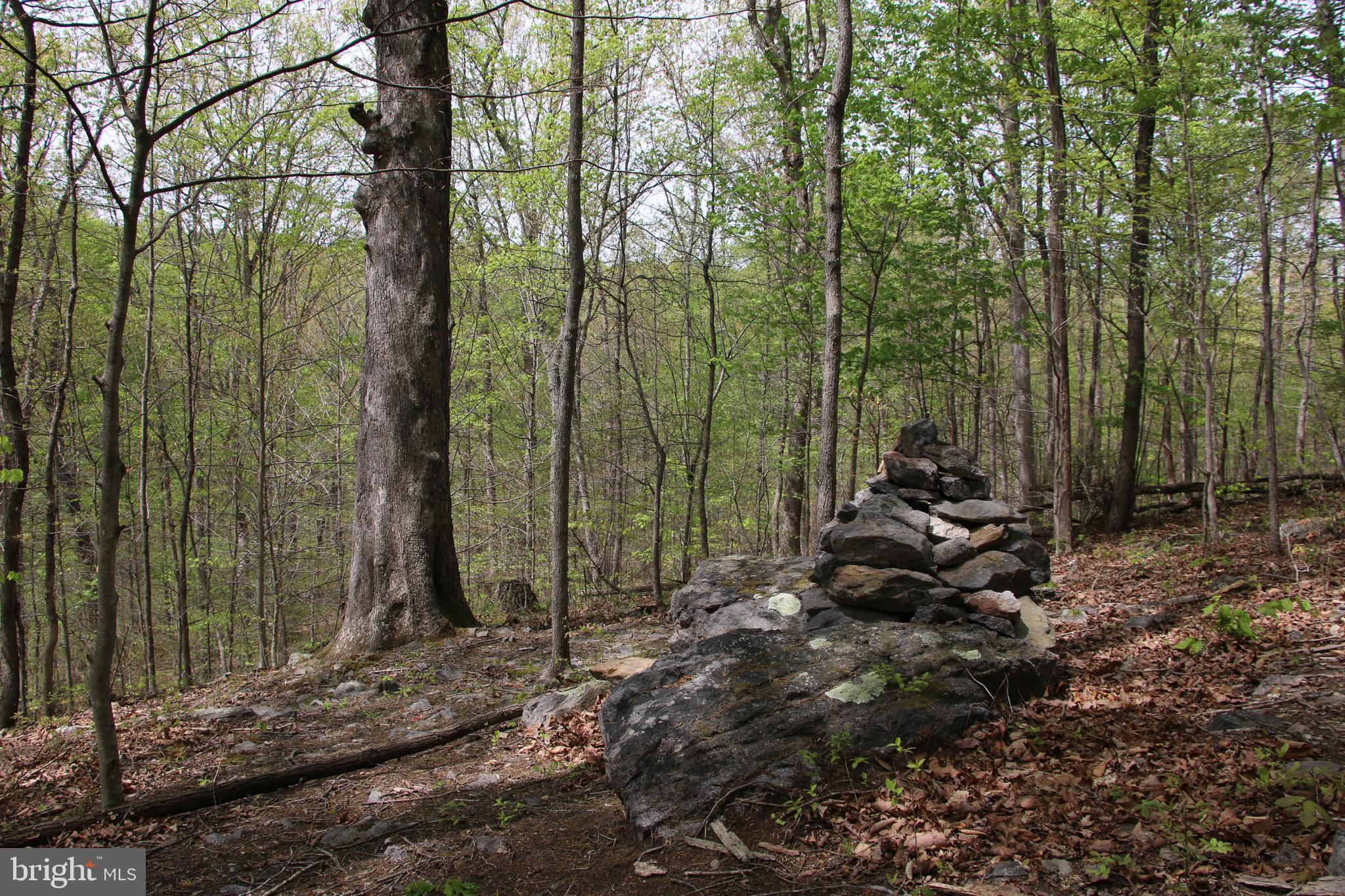 Located just outside Front Royal in the Shenandoah Farms community lies this large building lot. Access is secured via road frontage on well maintained and paved Drummer Hill Road. The home site topography is mild and utilities are running along Drummer Hill Road making for affordable connections. Zoned Residential and fully wooded. Commuters will love this location with quick access to US-50 and US-66. The Shenandoah River can be accessed nearby along with the thousands of acres of the G.R. Thompson WMA for those outdoor enthusiasts. Don’t miss your opportunity to live here! No soil work has been done.