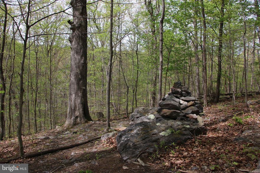 ***Recently approved for a 3 bedroom septic system.***Located just outside Front Royal in the Shenandoah Farms community lies this large building lot. Access is secured via road frontage on well maintained and paved Drummer Hill Road. The home site topography is mild and utilities are running along Drummer Hill Road making for affordable connections. Zoned Residential and fully wooded. Commuters will love this location with quick access to US-50 and US-66. The Shenandoah River can be accessed nearby along with the thousands of acres of the G.R. Thompson WMA for those outdoor enthusiasts. Don’t miss your opportunity to live here! No soil work has been done.