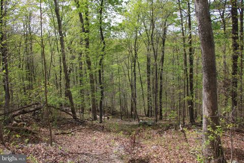 Vacant Land For Sale - Drummer Hill Road<br/> Warren County, FRONT ROYAL, VA 22630