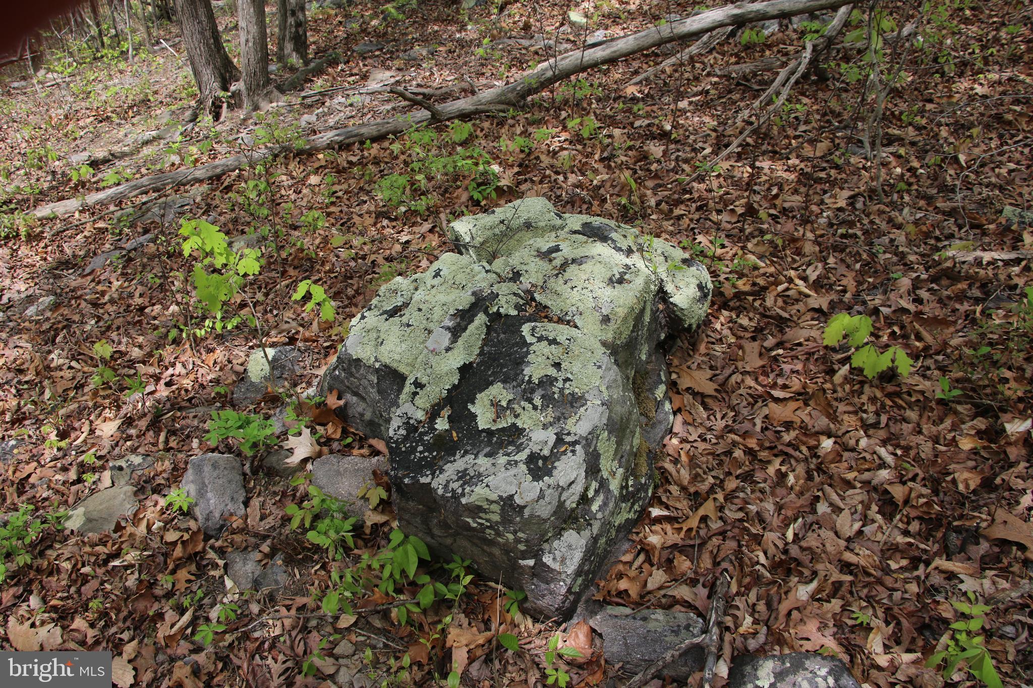 SHENANDOAH FARMS - Land