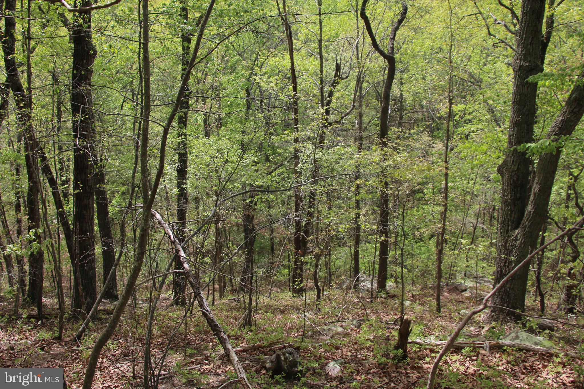 SHENANDOAH FARMS - Land