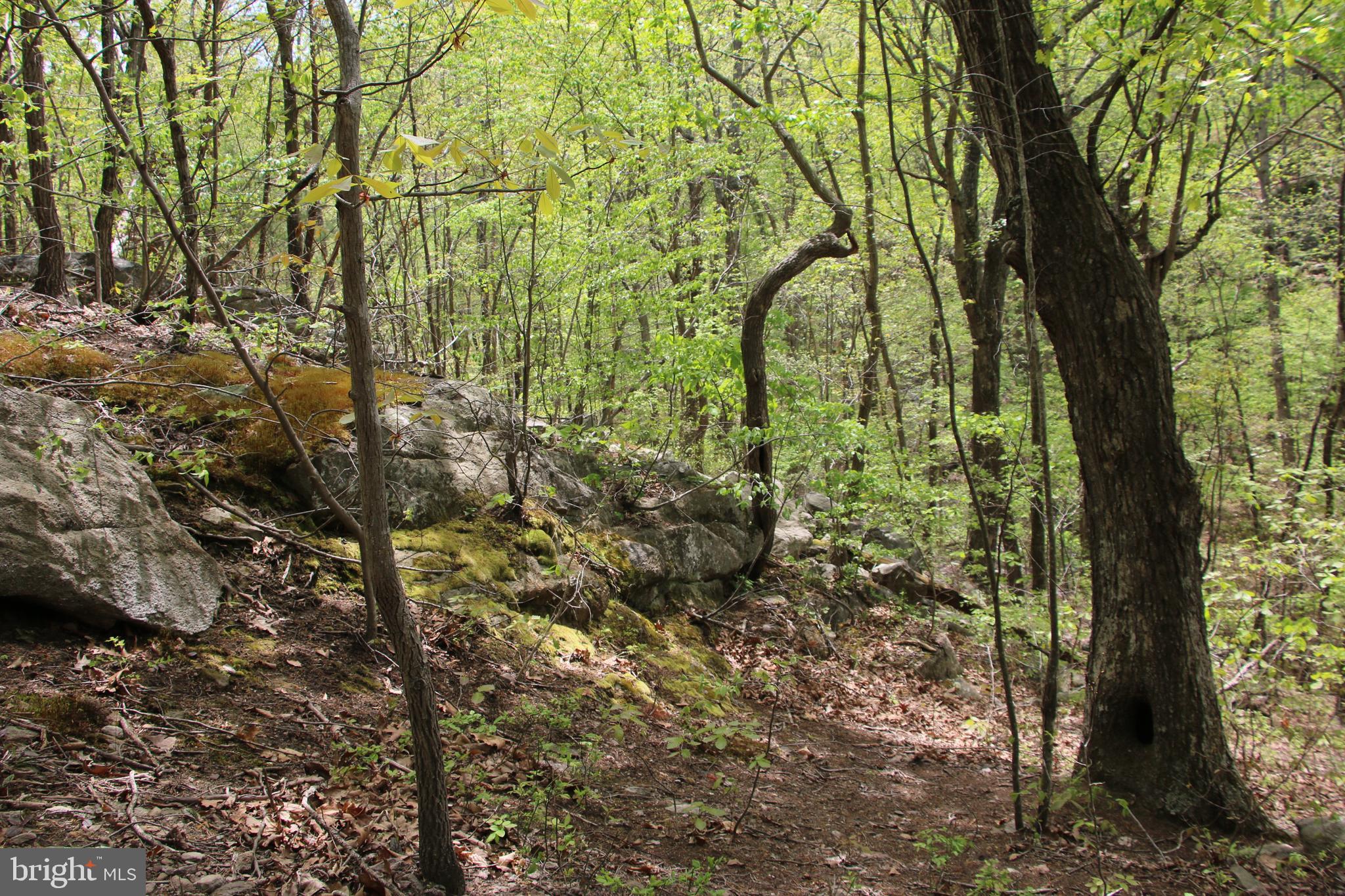 SHENANDOAH FARMS - Land