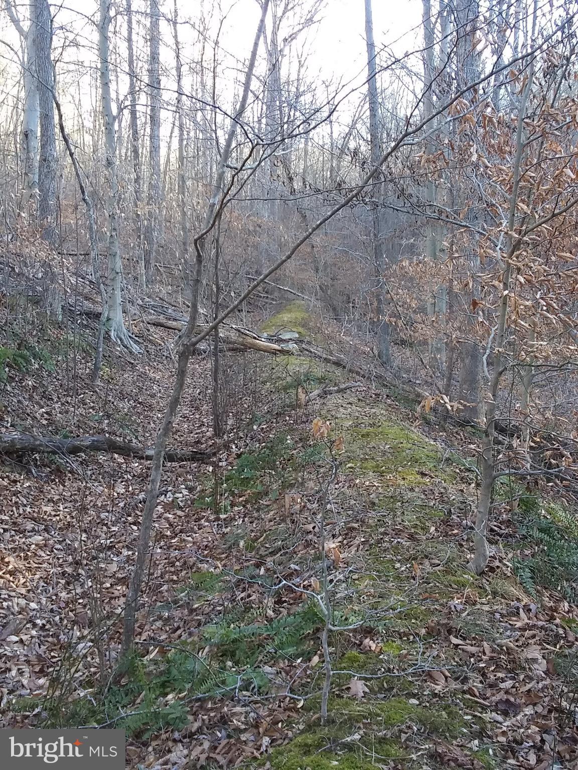 SHENANDOAH FARMS - Land