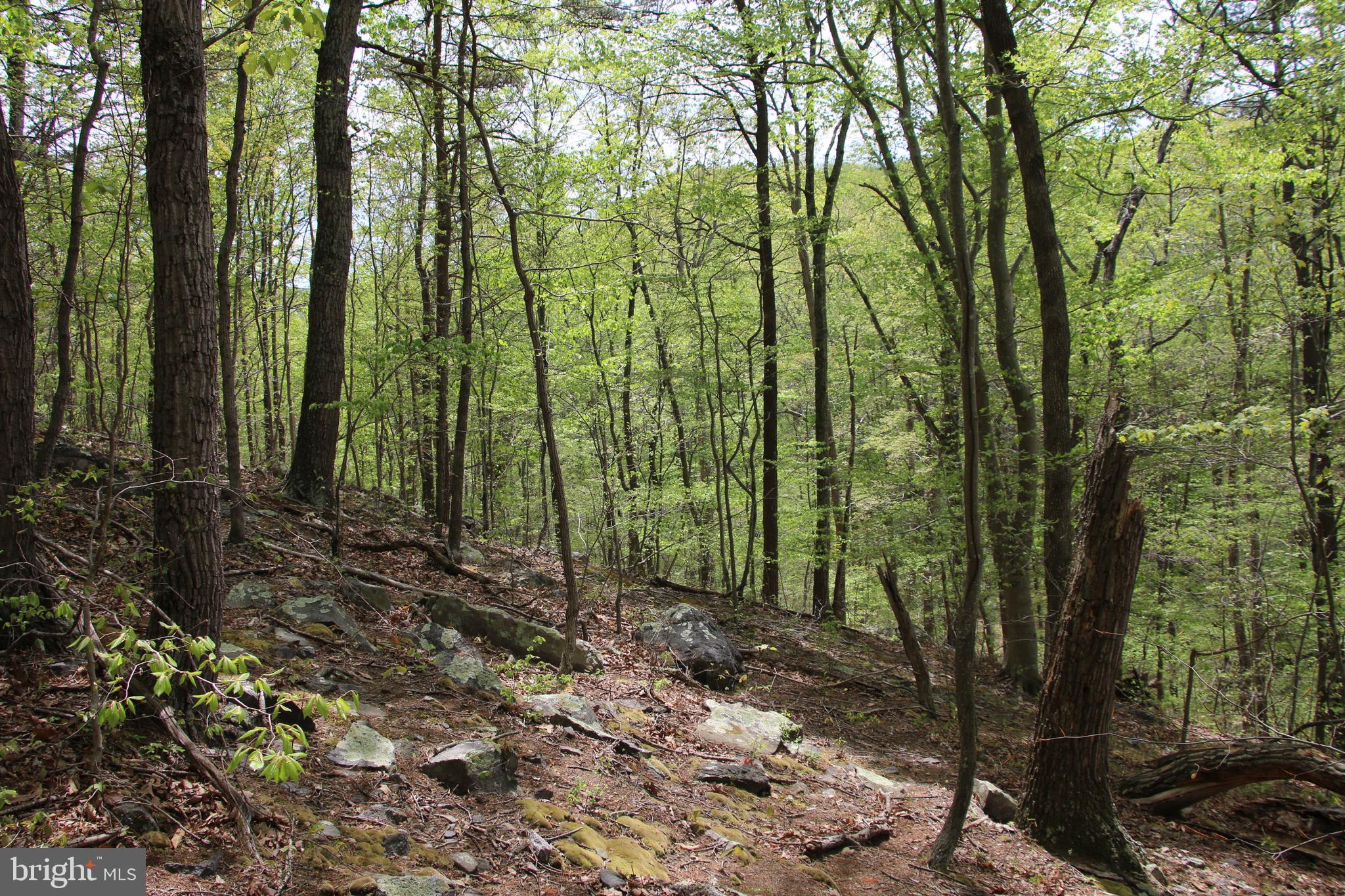 DRUMMER HILL ROAD
