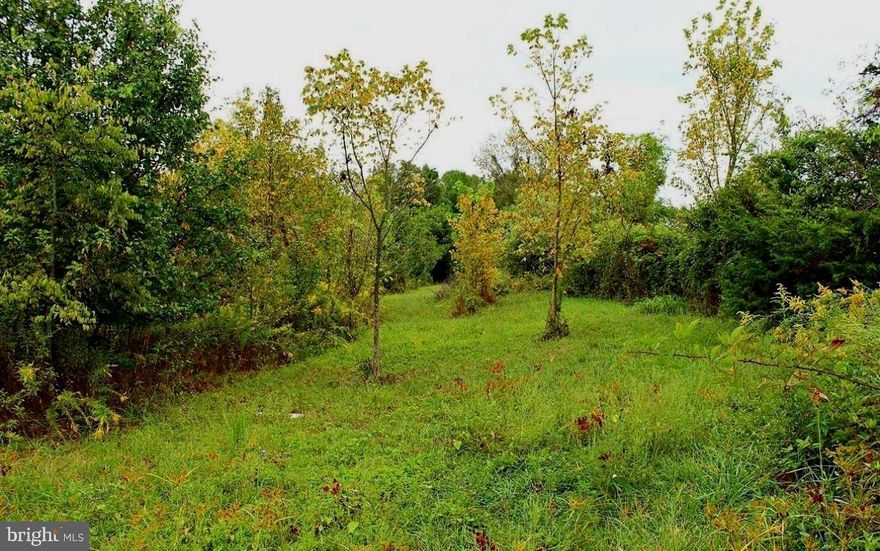 Build your dream home on this .5 acre lot already approved for a conventional septic system in the heart of Bowling Green. This buildable parcel offers the convenience of public water and sewer, making the building process smoother. Don't miss this opportunity to create something truly your own.