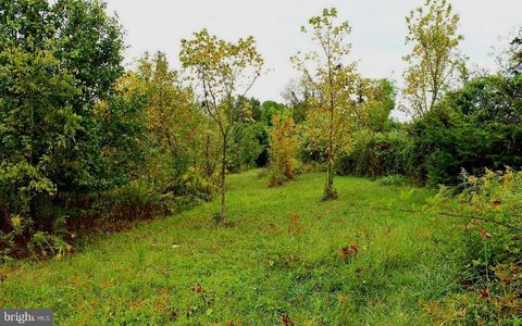 Vacant Land For Sale - Cedar Lane<br/> Caroline County, BOWLING GREEN, VA 22427