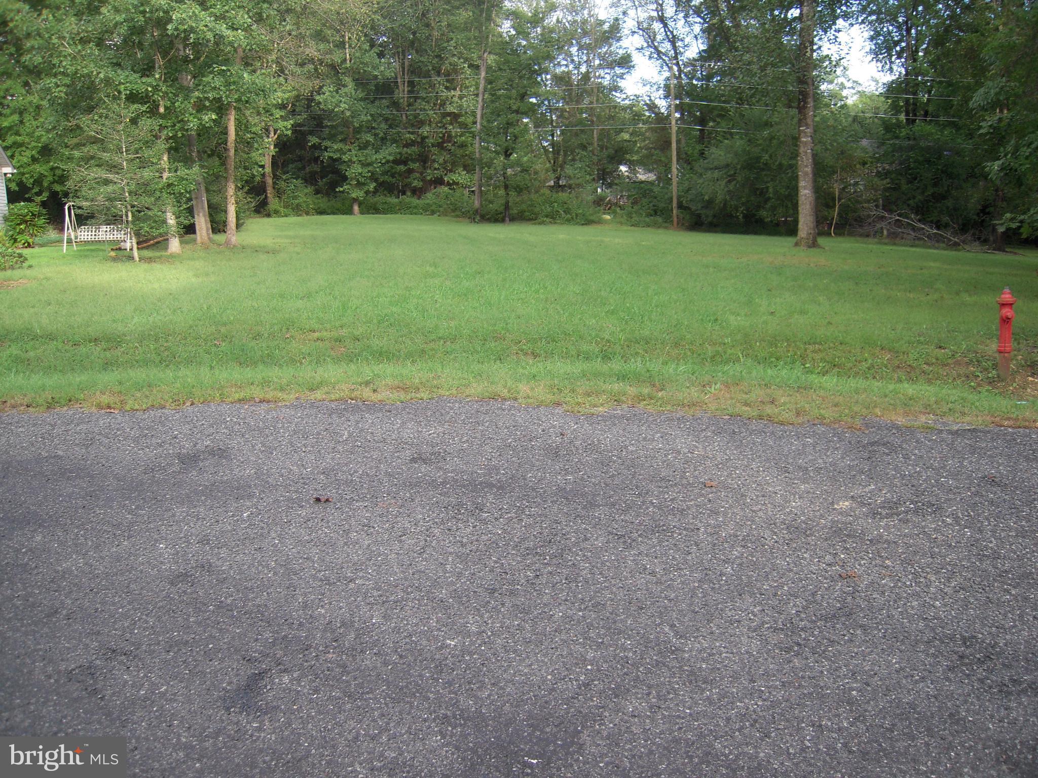 LAKE OF THE WOODS - Land