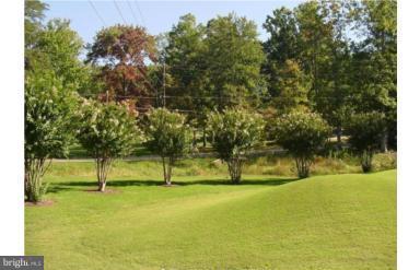 LAKE OF THE WOODS - Land