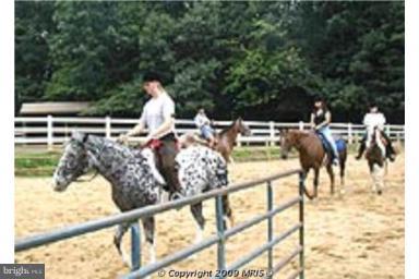 LAKE OF THE WOODS - Land