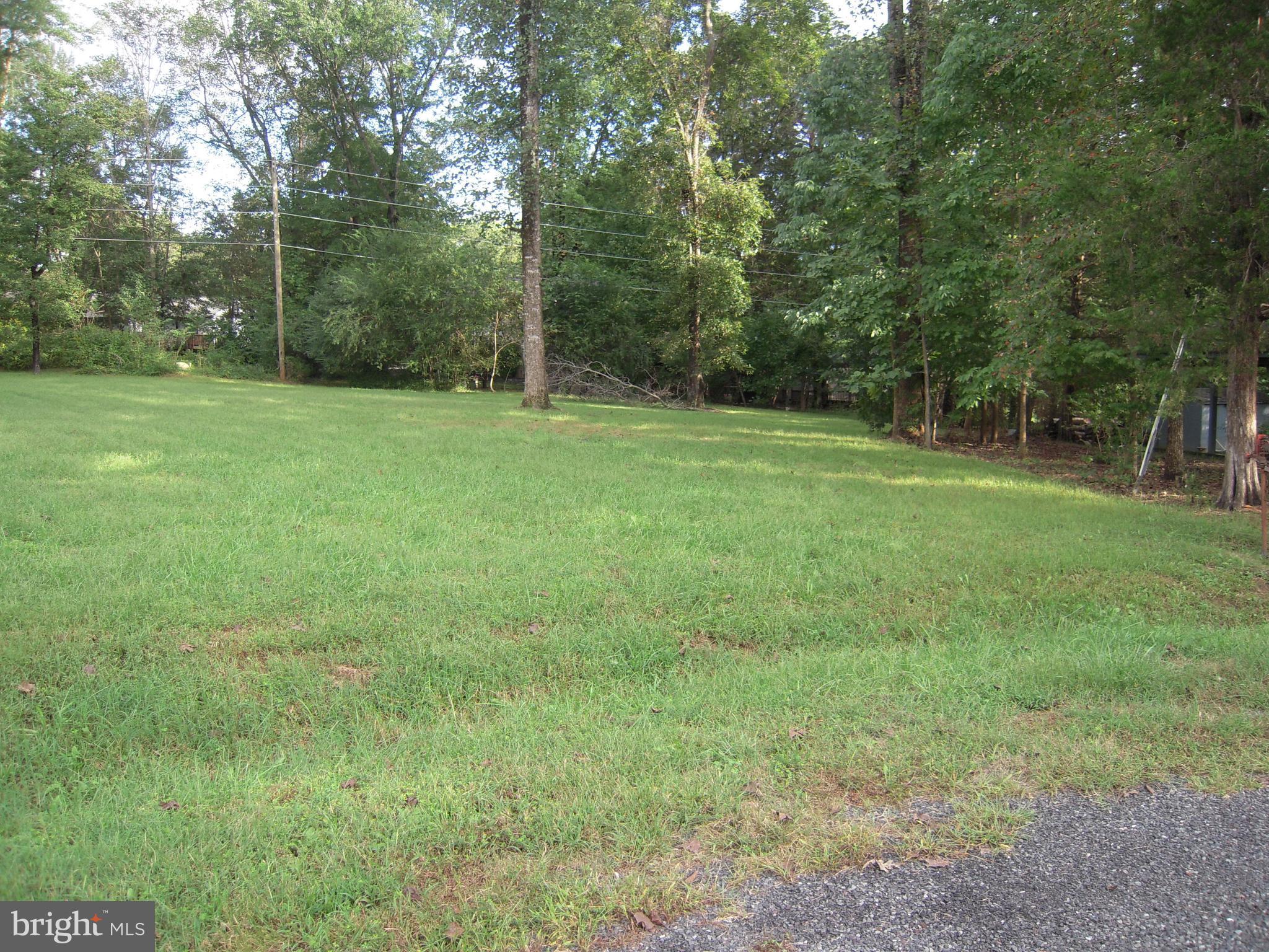 LAKE OF THE WOODS - Land