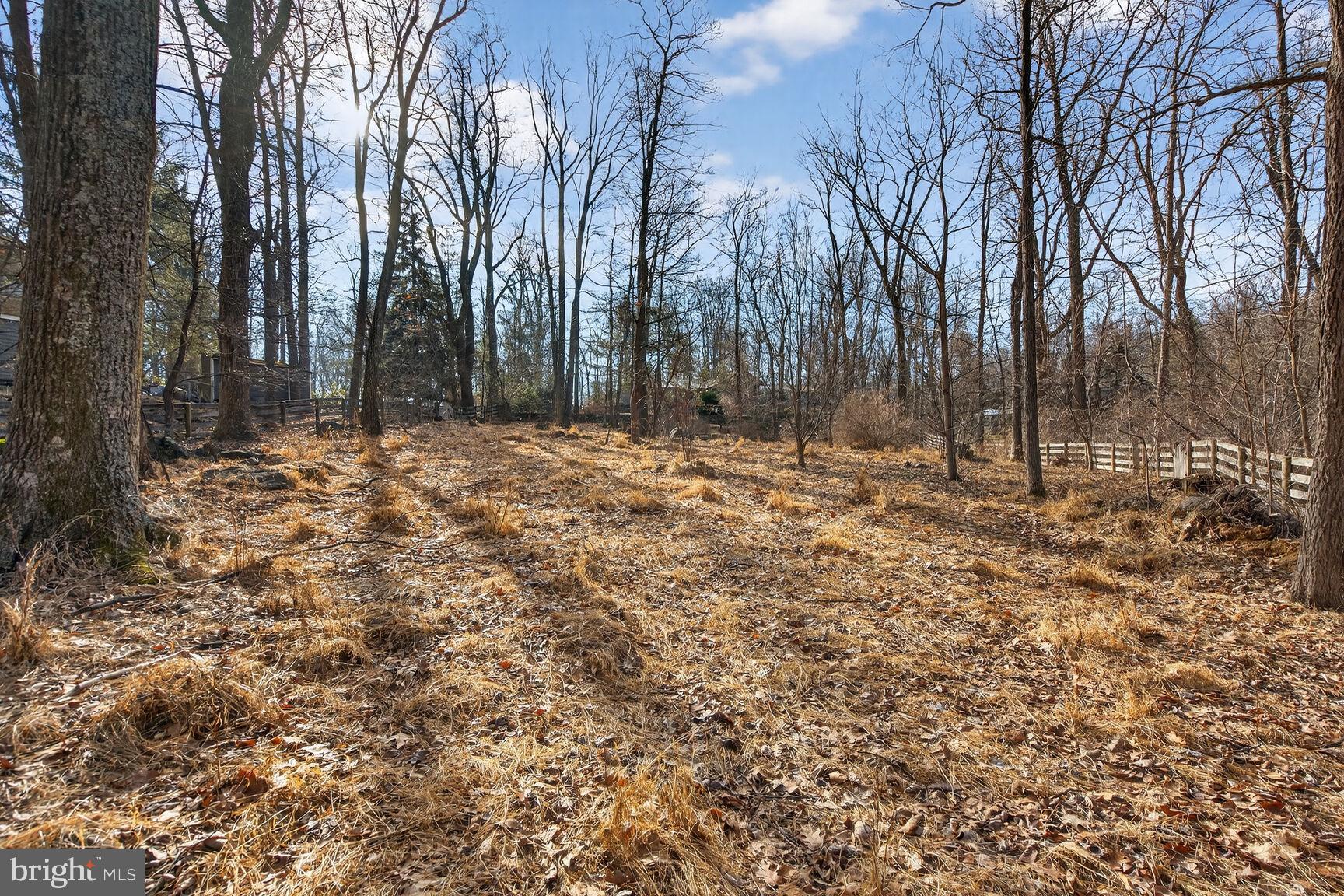 BLUEMONT - Residential