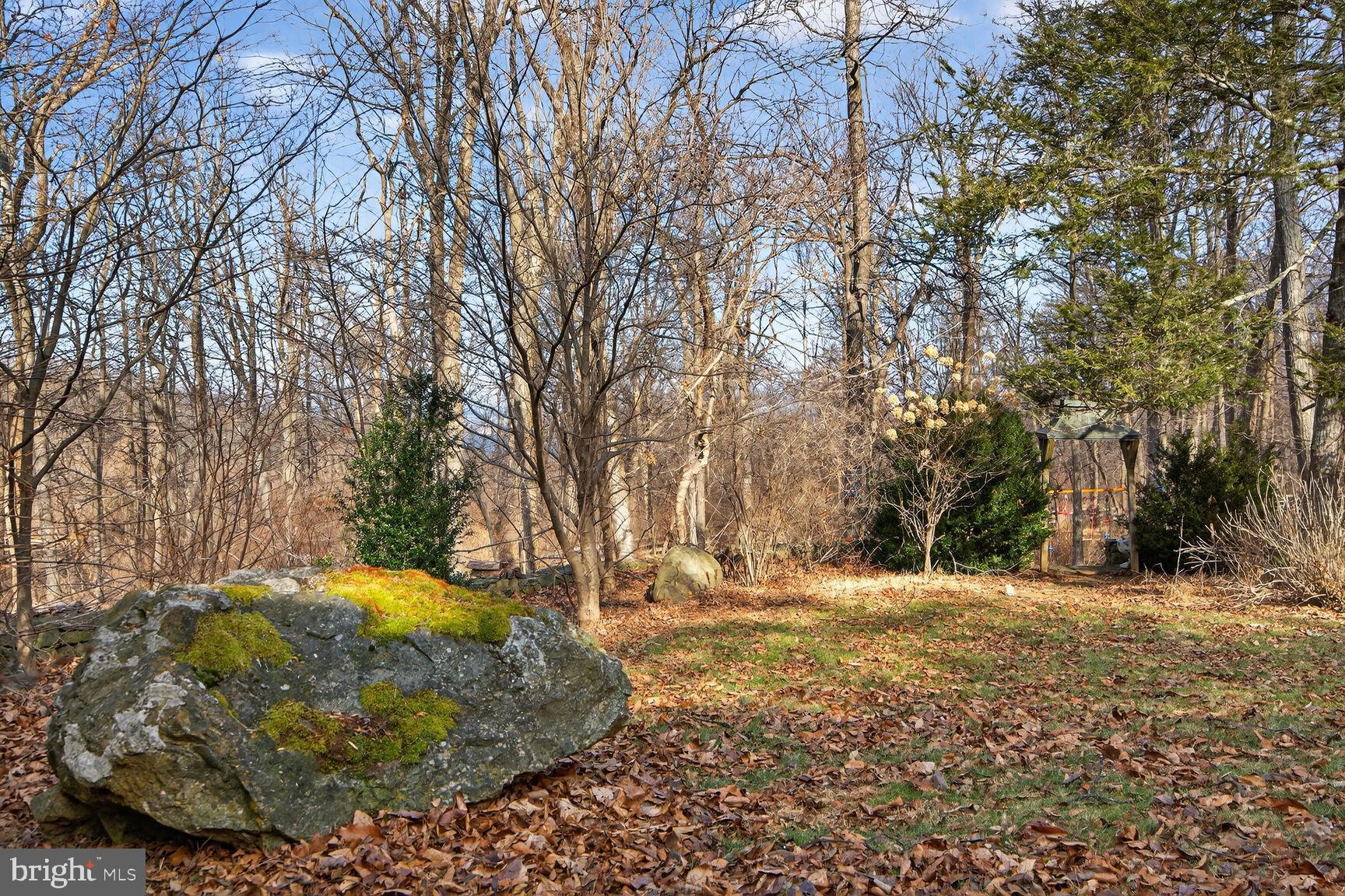 BLUEMONT - Residential