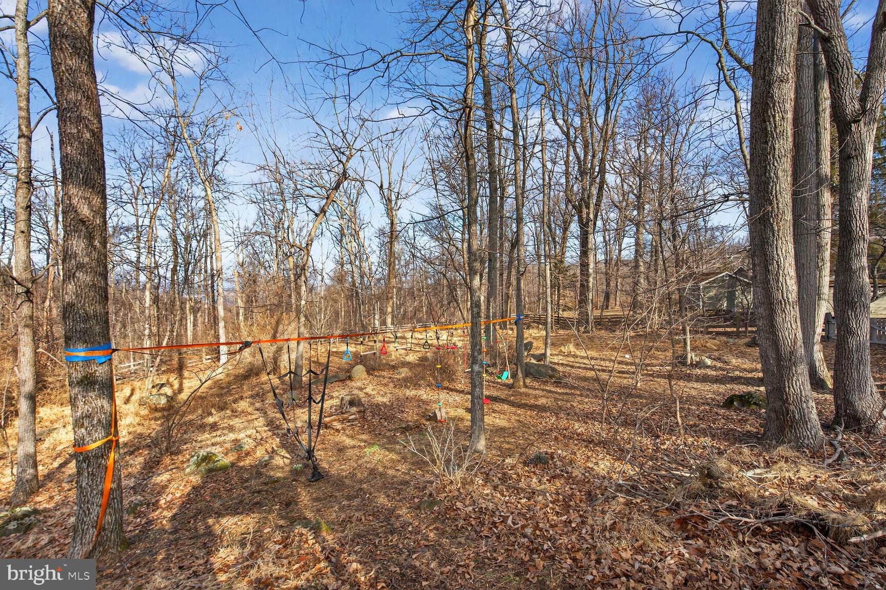 BLUEMONT - Residential