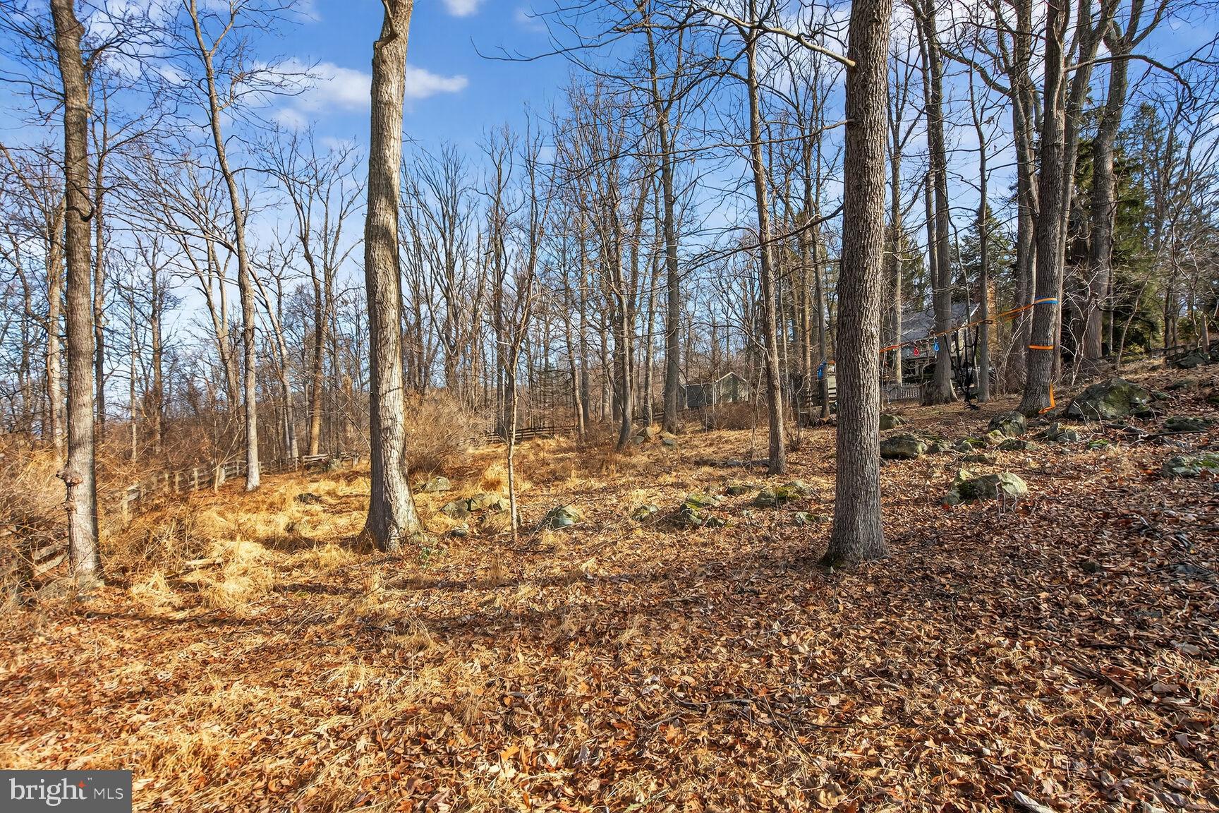 BLUEMONT - Residential