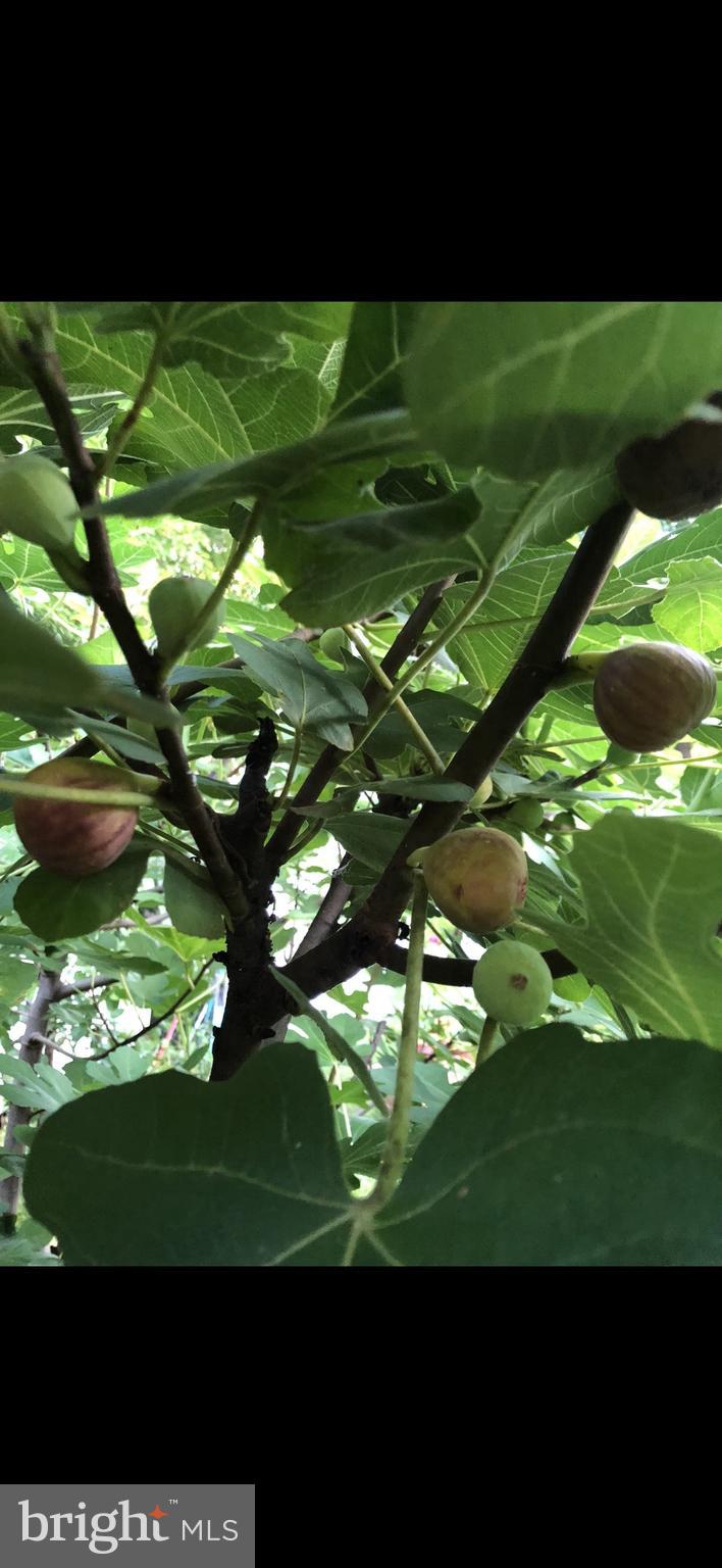 GREATER CAPITOL HEIGHTS - Residential