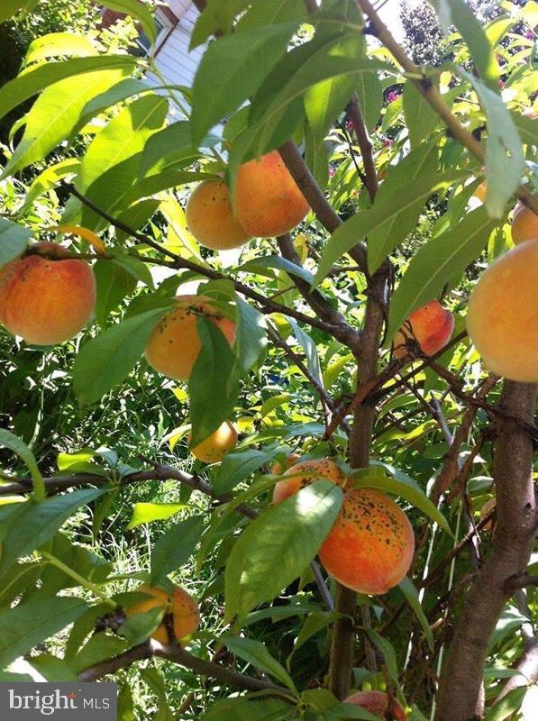 GREATER CAPITOL HEIGHTS - Residential