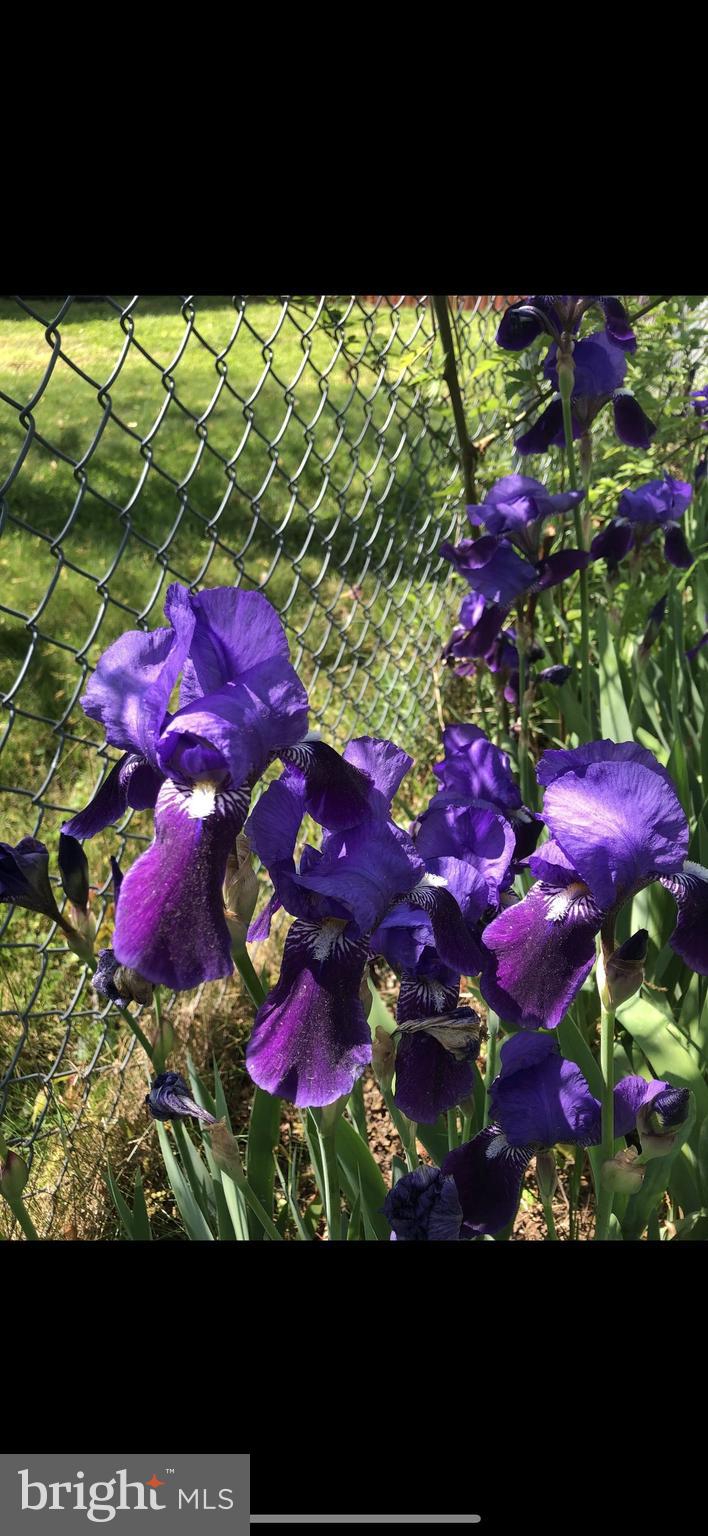 GREATER CAPITOL HEIGHTS - Residential