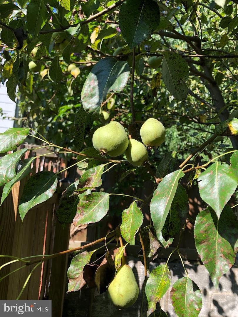 GREATER CAPITOL HEIGHTS - Residential