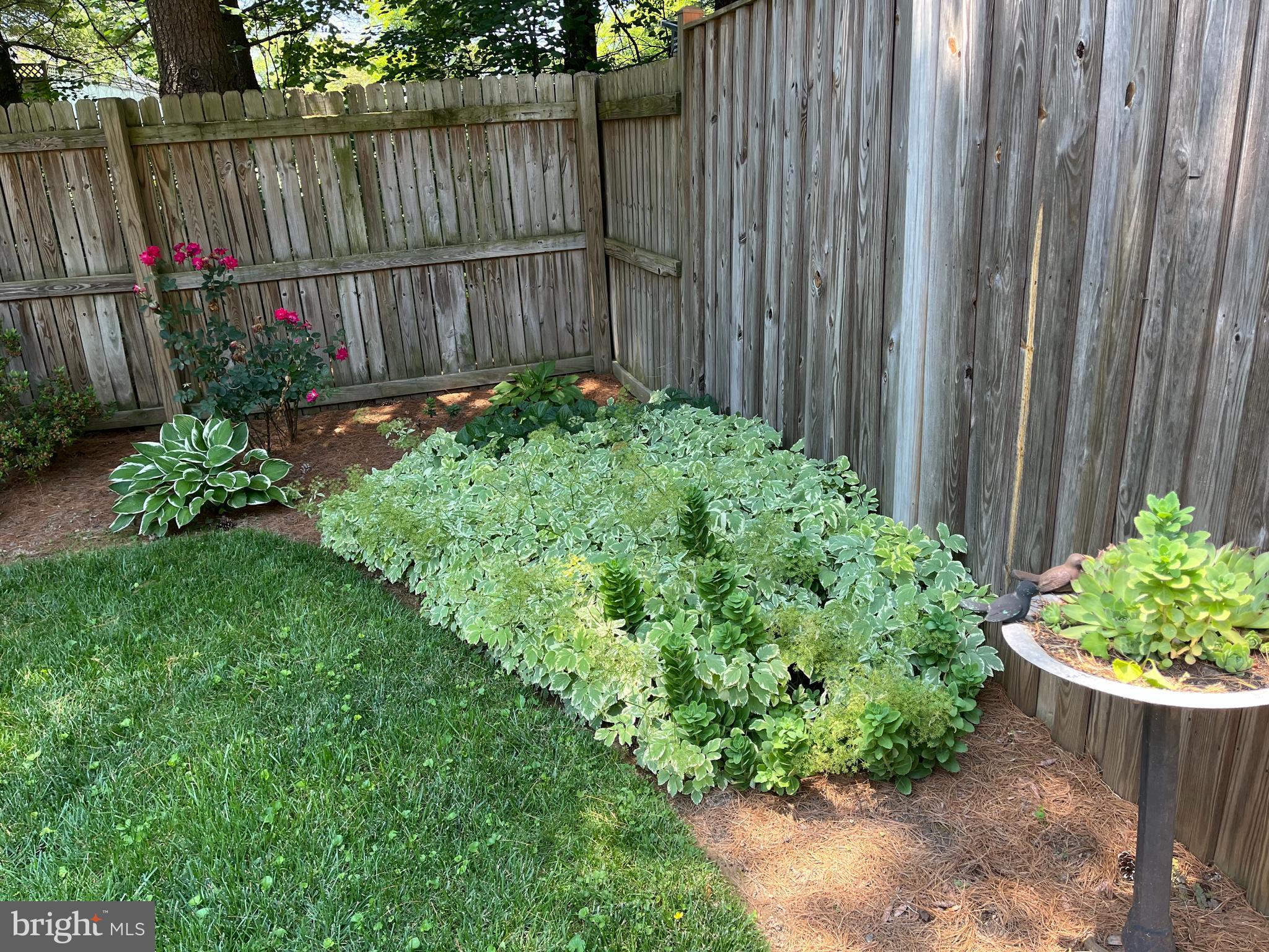 WINDY KNOLL - Residential