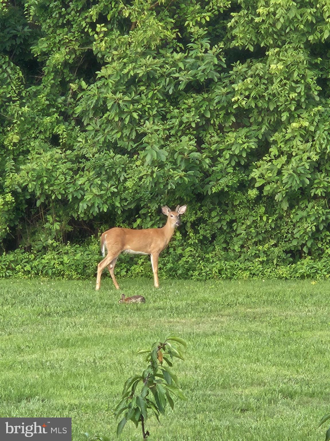 RIVERSIDE - Residential