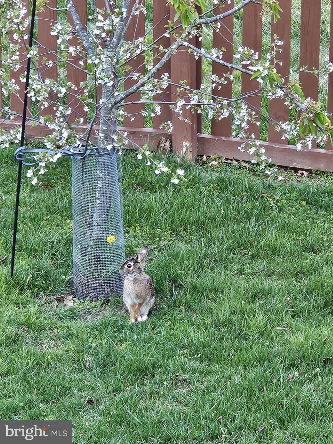 RIVERSIDE - Residential