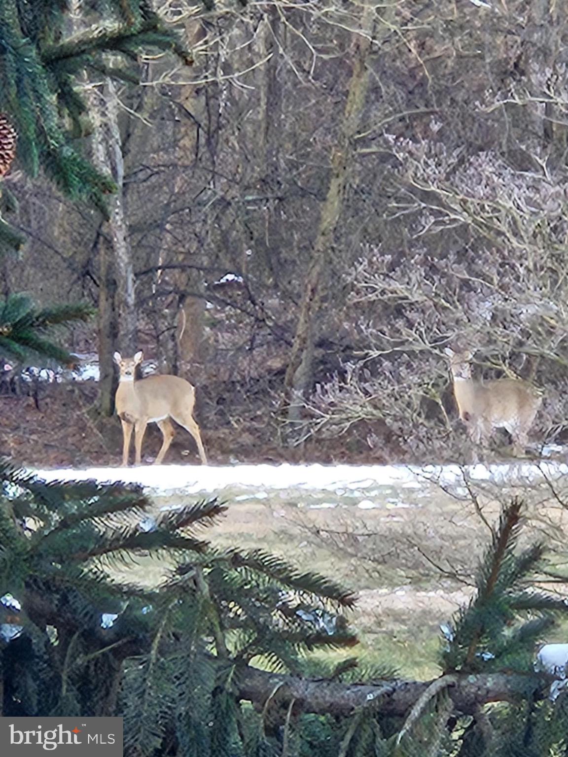 RIVERSIDE - Residential