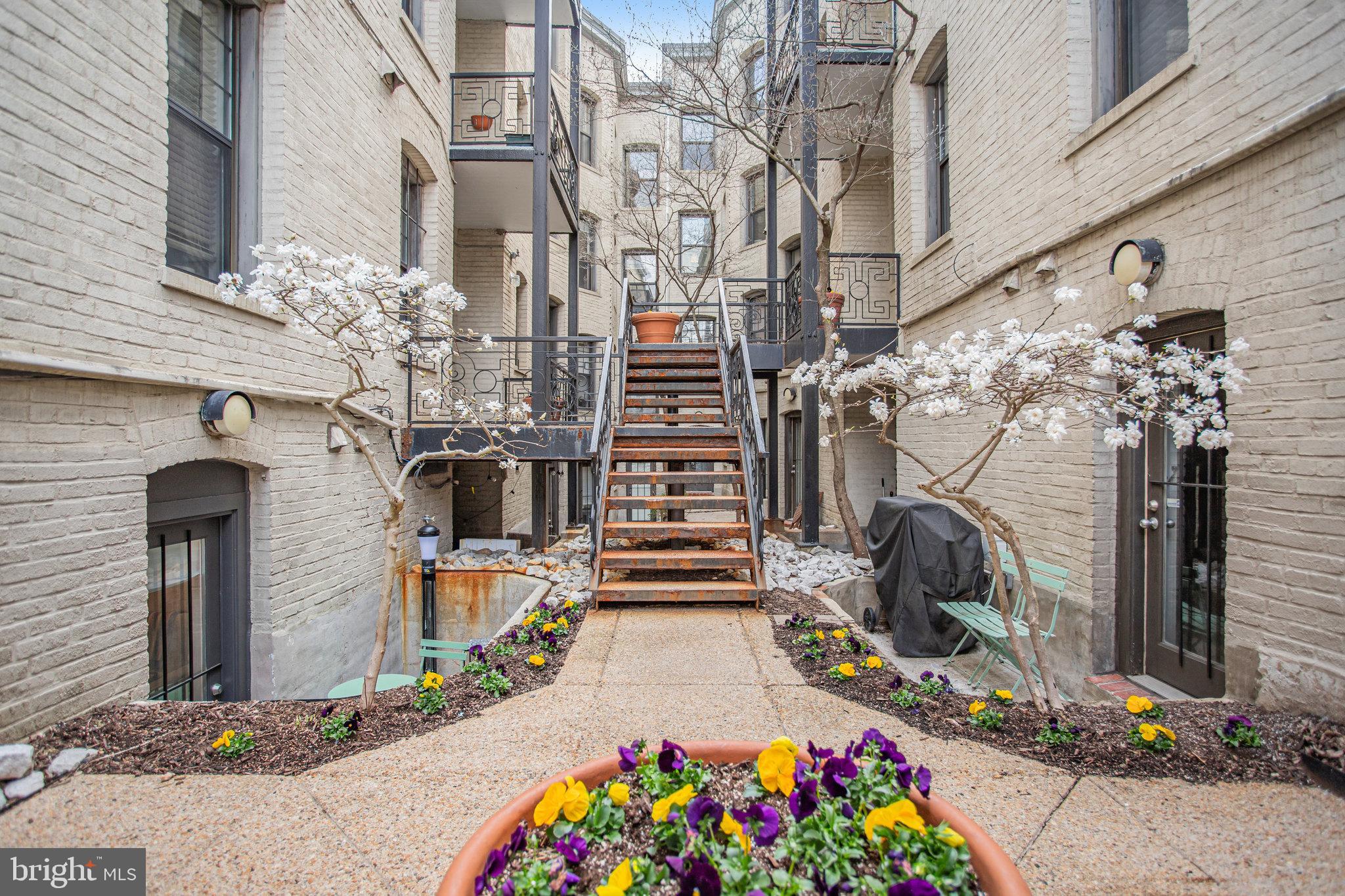 KALORAMA TRIANGLE - Residential