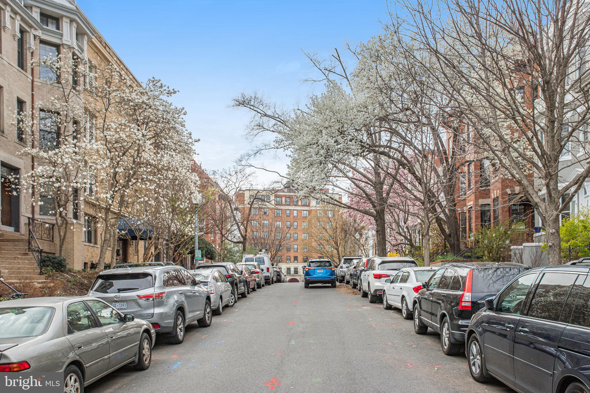 KALORAMA TRIANGLE - Residential