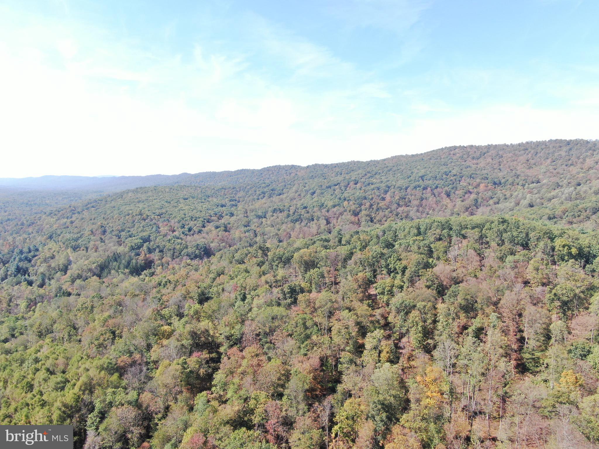 TRACT 3: 101+/- ACRES UPPER STRASBURG RD