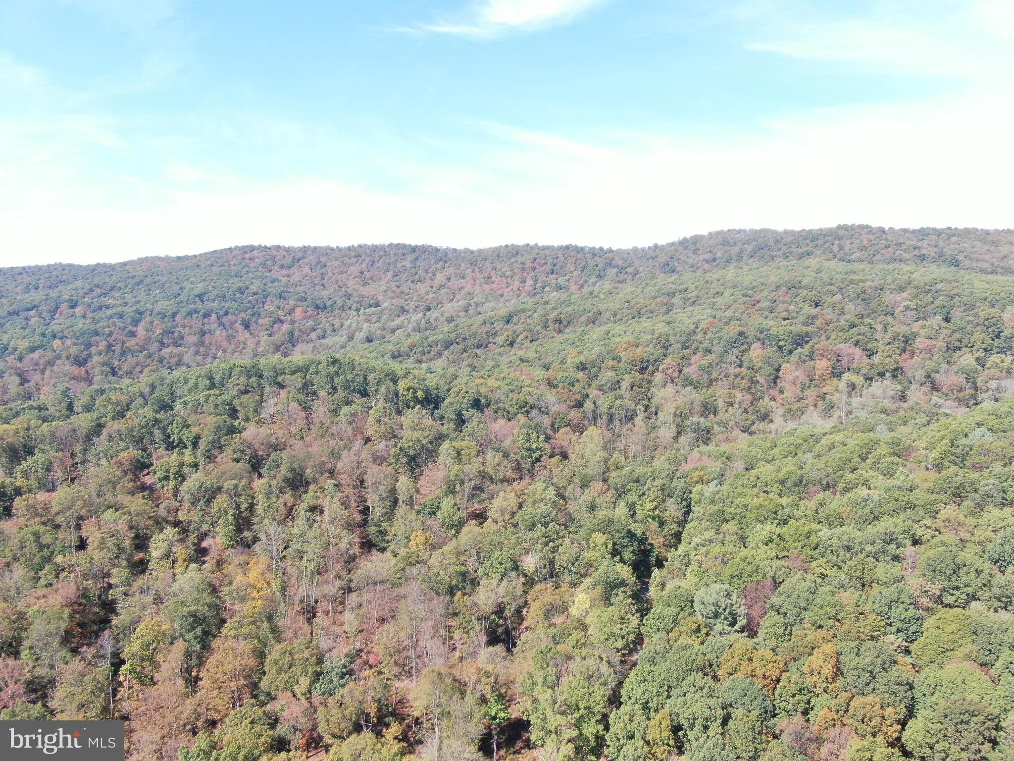 TRACT 3: 101+/- ACRES UPPER STRASBURG RD