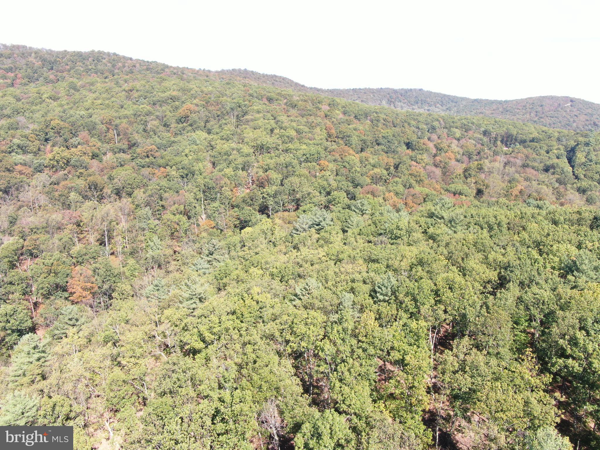 TRACT 3: 101+/- ACRES UPPER STRASBURG RD