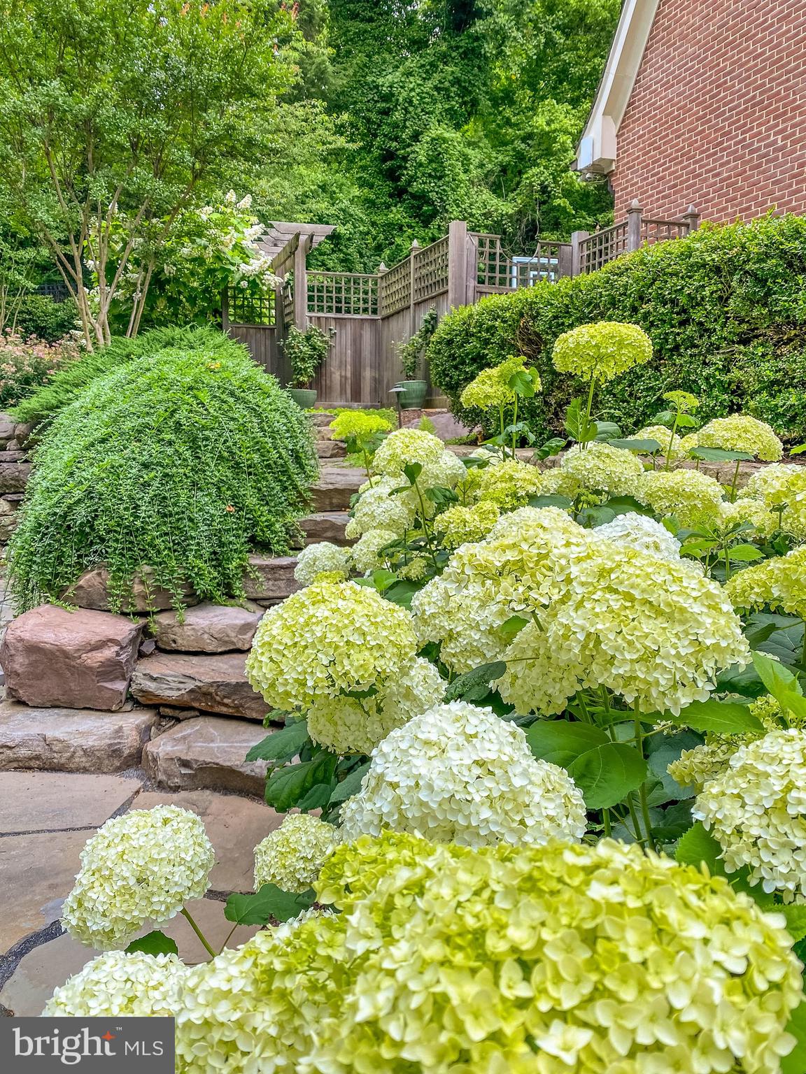 LANGLEY FARMS - Residential