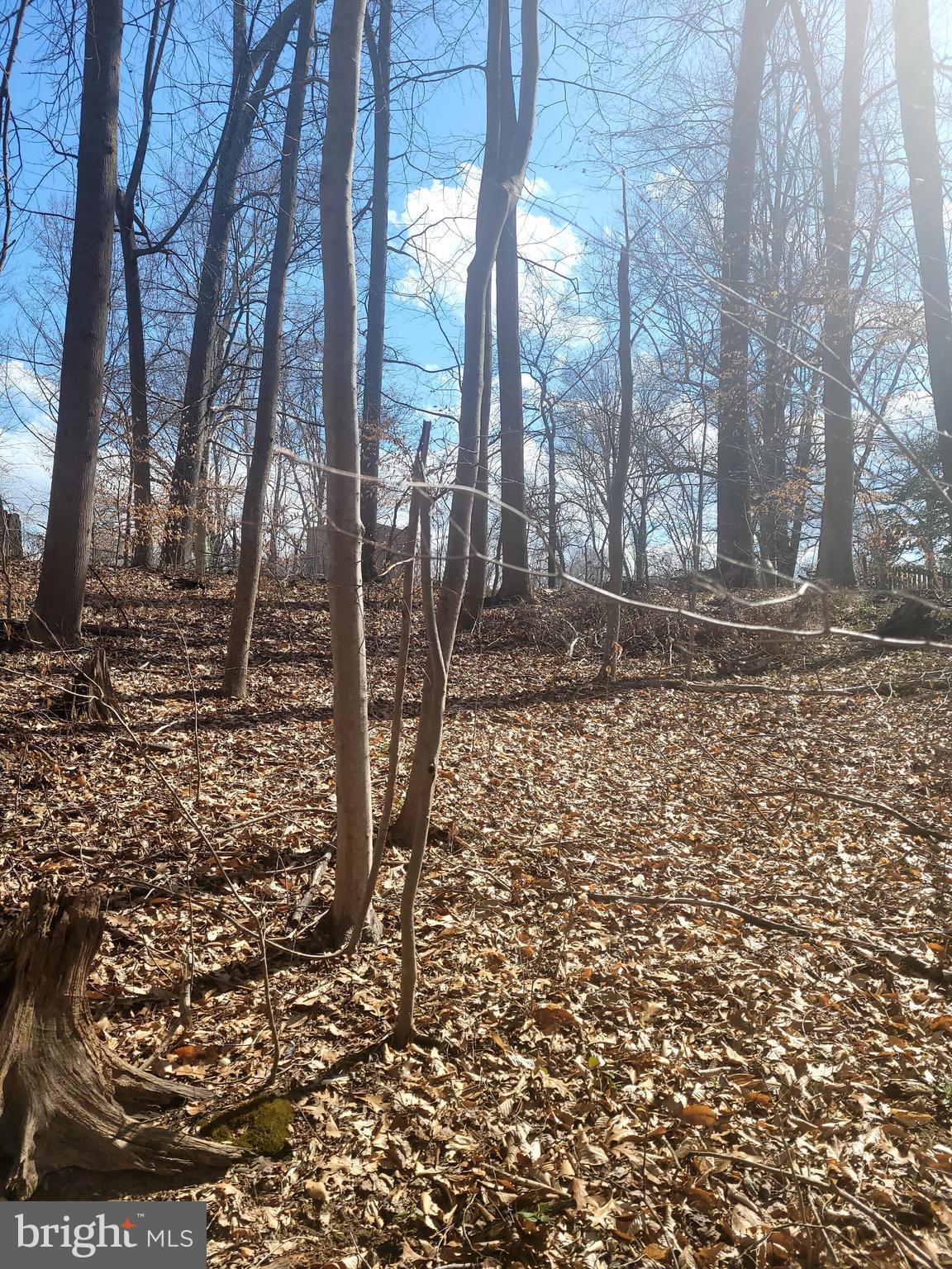 RISON HILLS SUB - Land