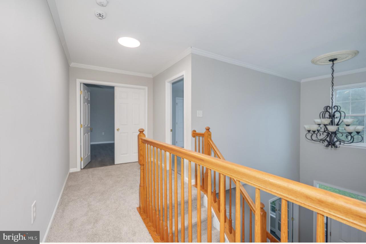 MCCAULEY CROSSING - Residential