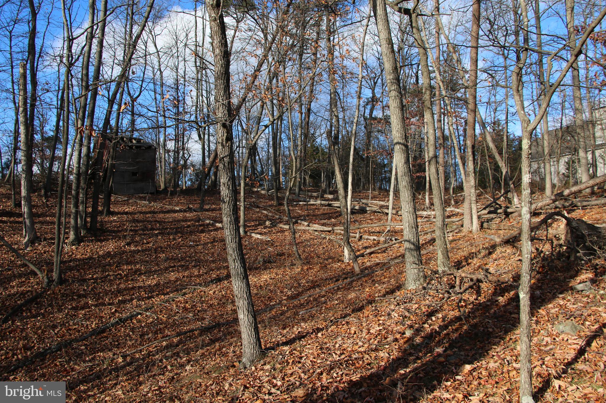 0 SUPINLICK RIDGE ROAD