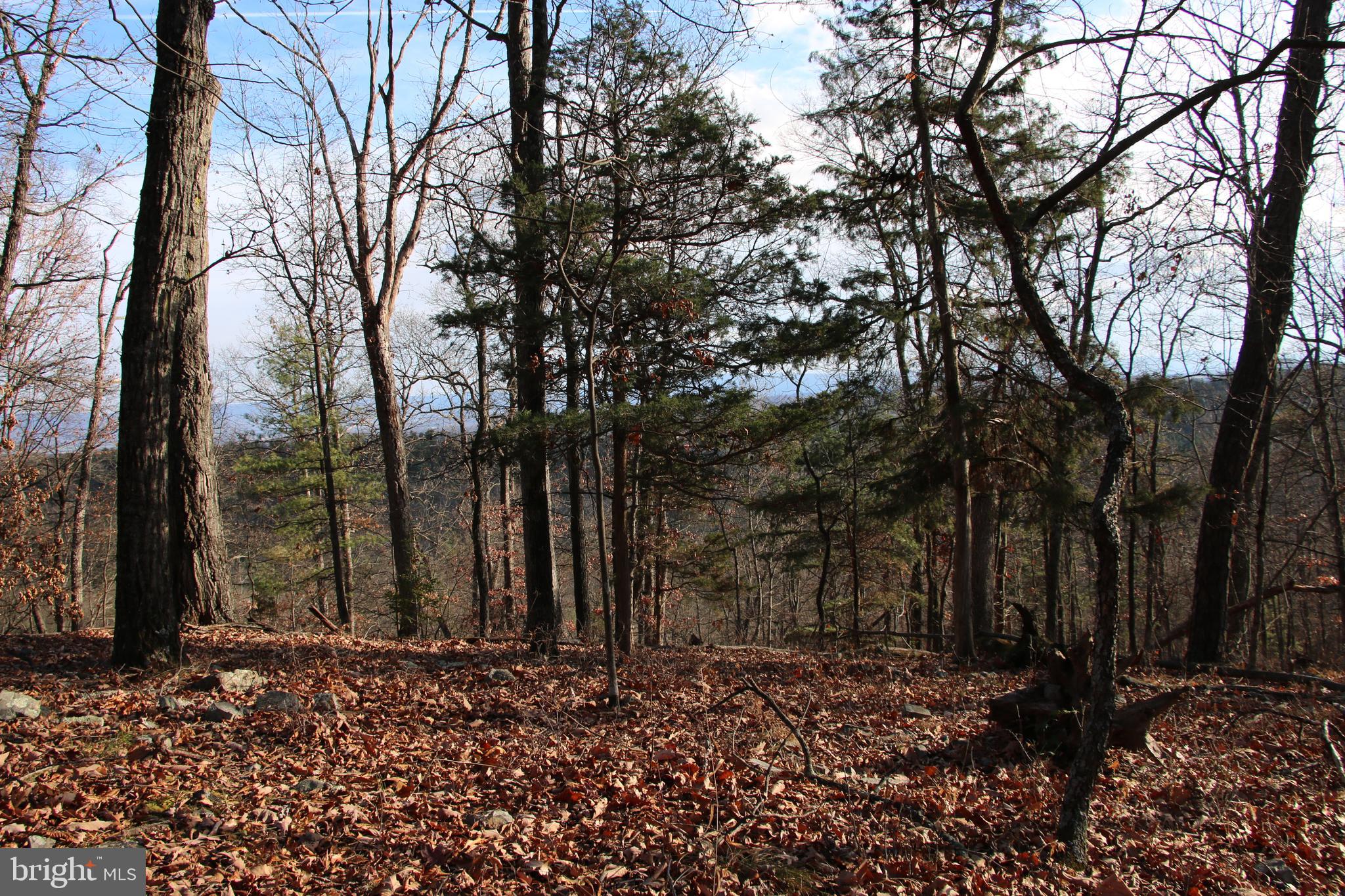 0 SUPINLICK RIDGE ROAD