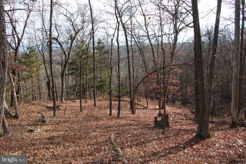 0 SUPINLICK RIDGE ROAD MOUNT JACKSON VA 22842