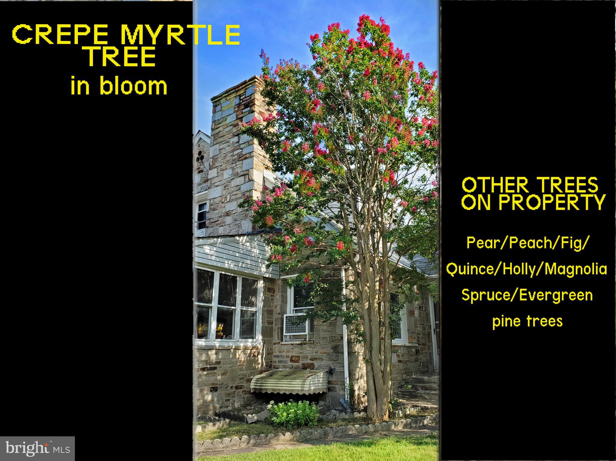 GARDENVILLE - Residential