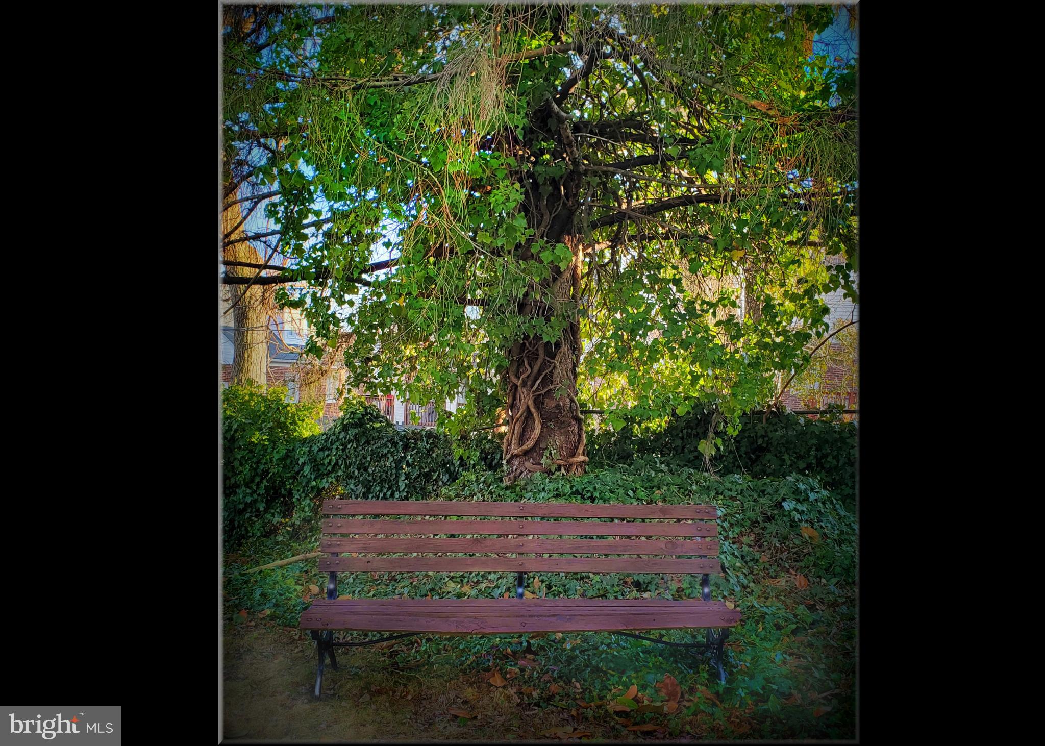 GARDENVILLE - Residential