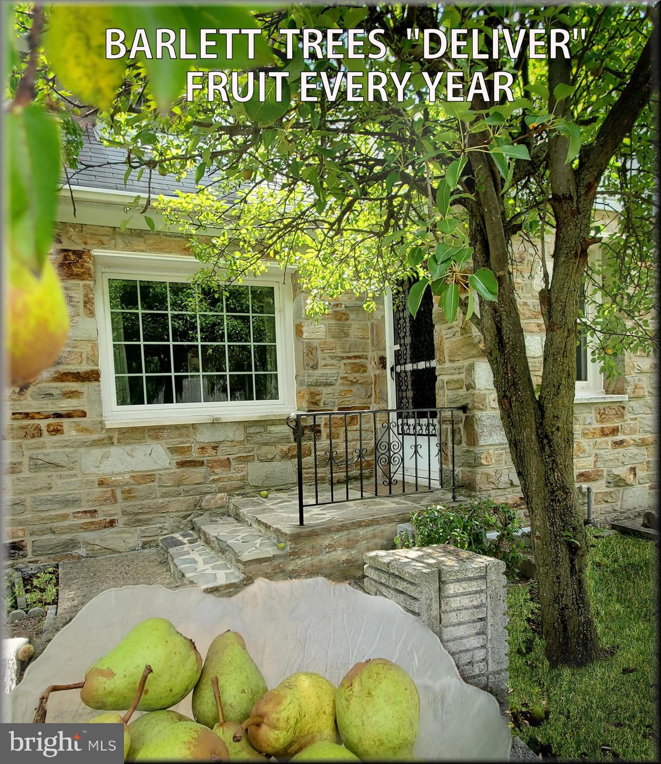 GARDENVILLE - Residential