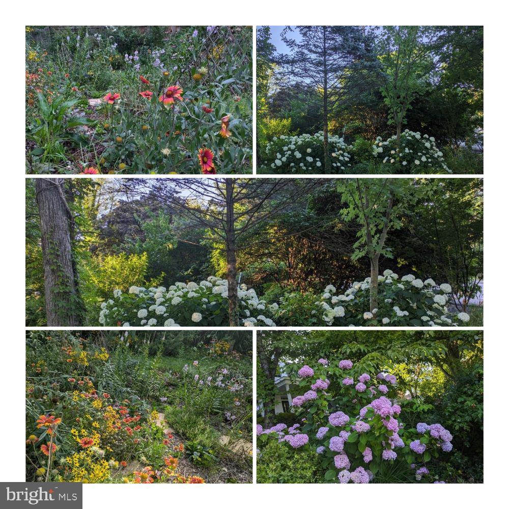 ENGLISH VILLAGE - Residential