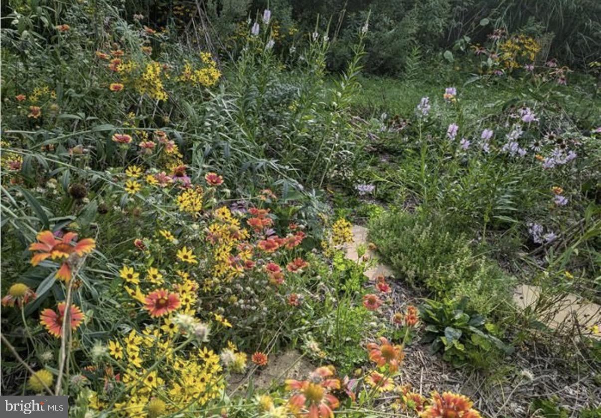 ENGLISH VILLAGE - Residential